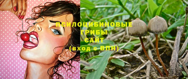 шишки Алзамай